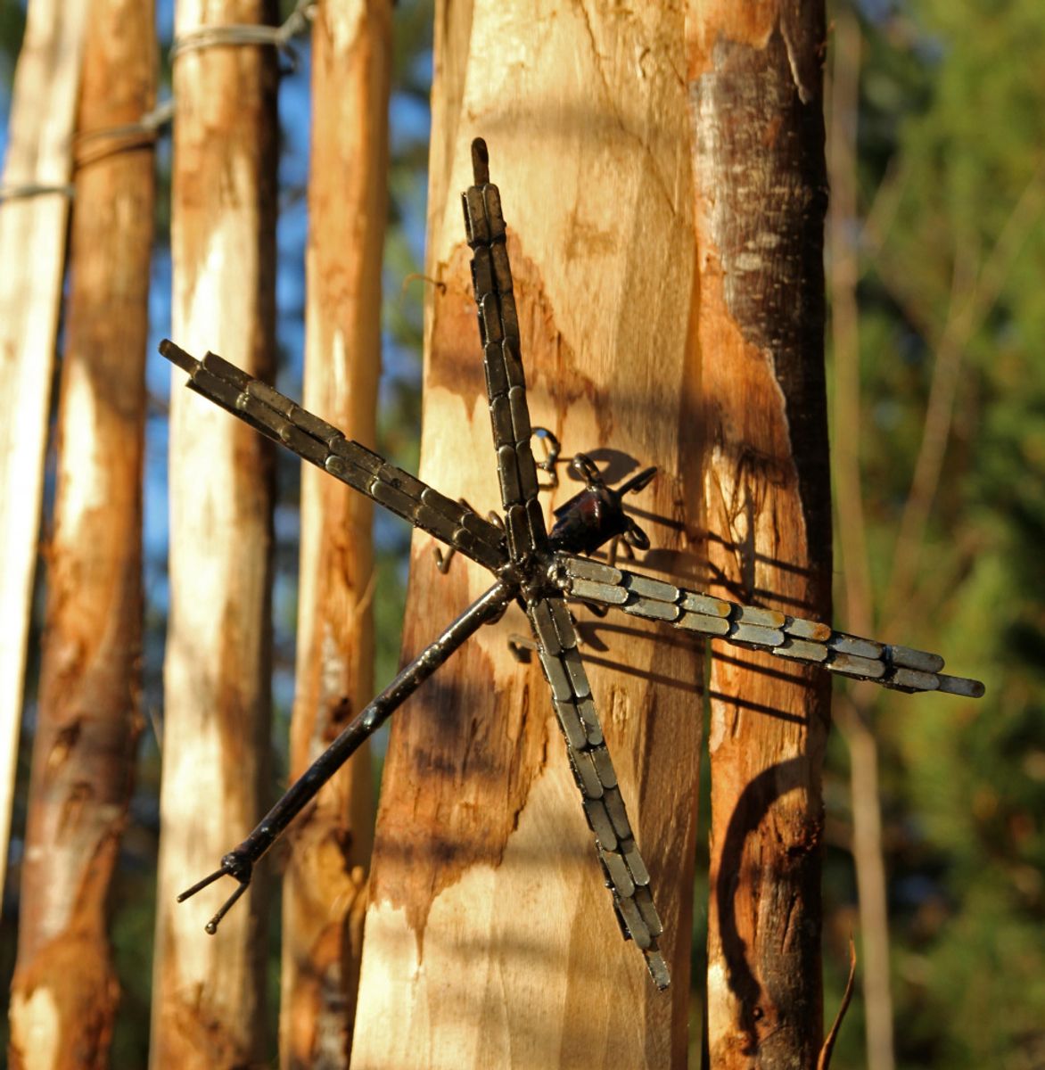 Øyenstikker til vegg 1 stykk 
