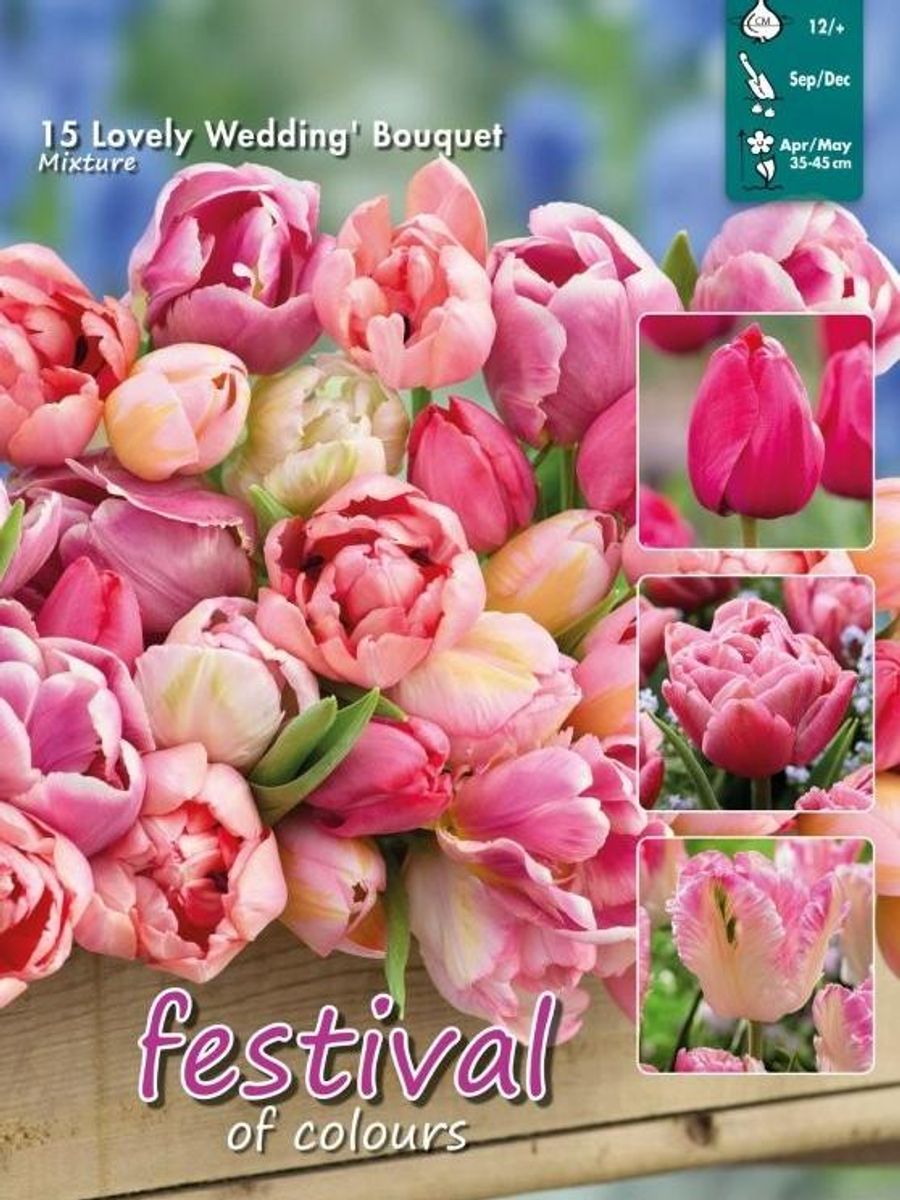 Tulipan big pack Lovely Wedding Bouquet Mix 15 stykk 