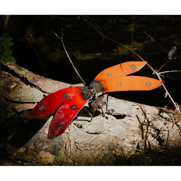 Hovedbilde Øyenstikker til vegg rød